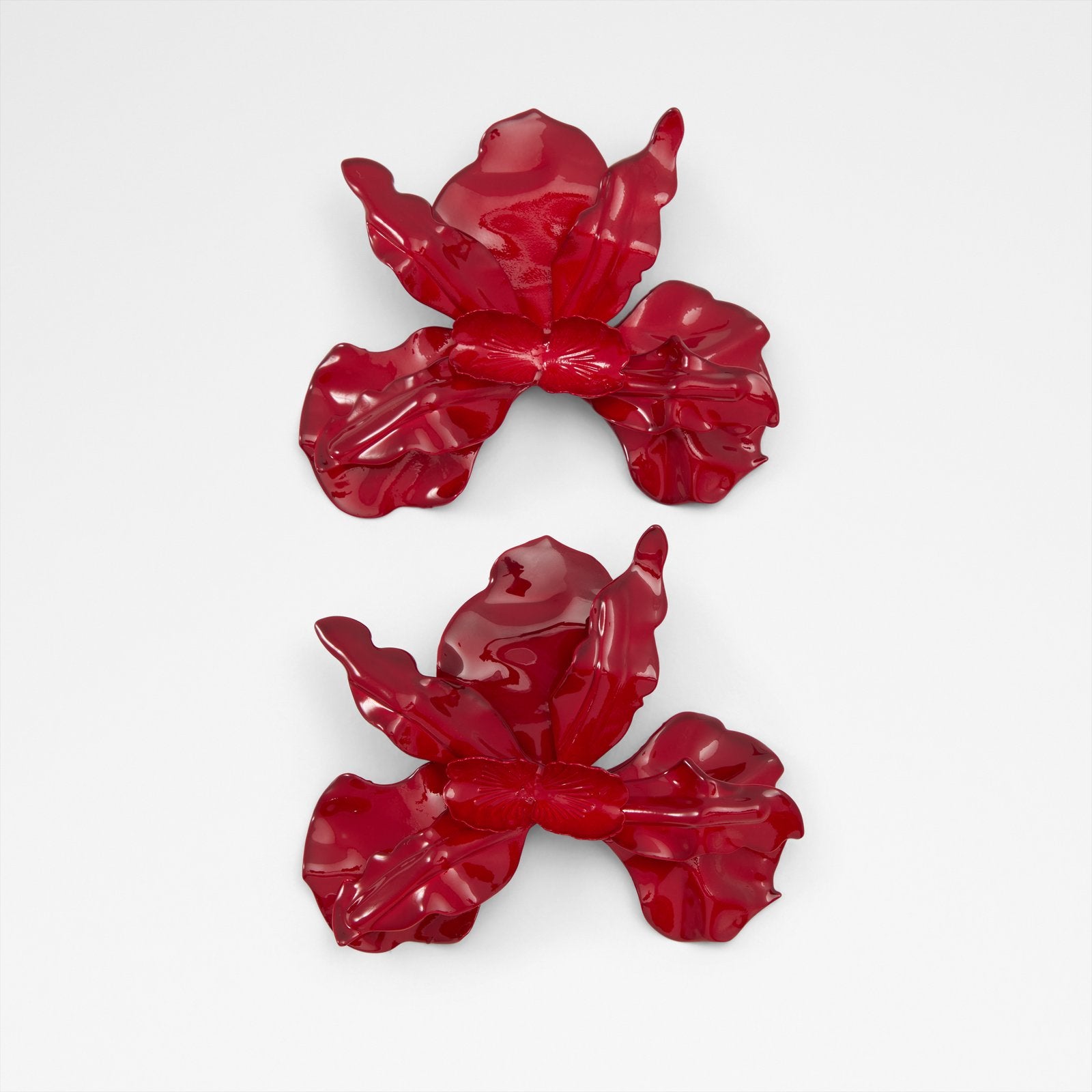 paradisia_red_600_main_sq_nt_1600x1600